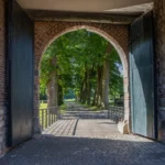 TvF_2025-06